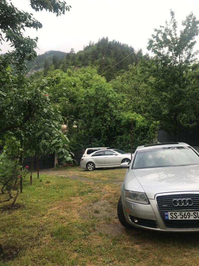 Zviad Guest House Боржоми Екстериор снимка