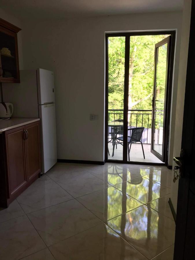 Zviad Guest House Боржоми Екстериор снимка