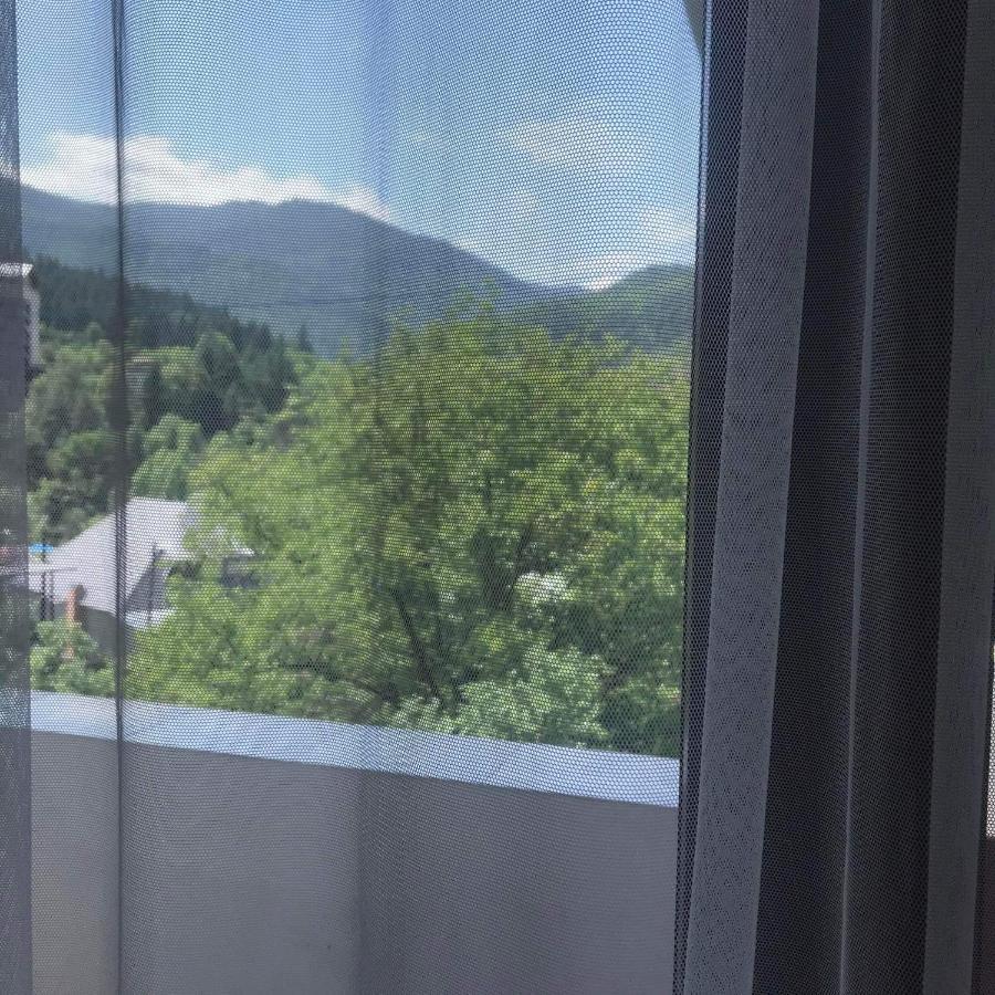 Zviad Guest House Боржоми Екстериор снимка