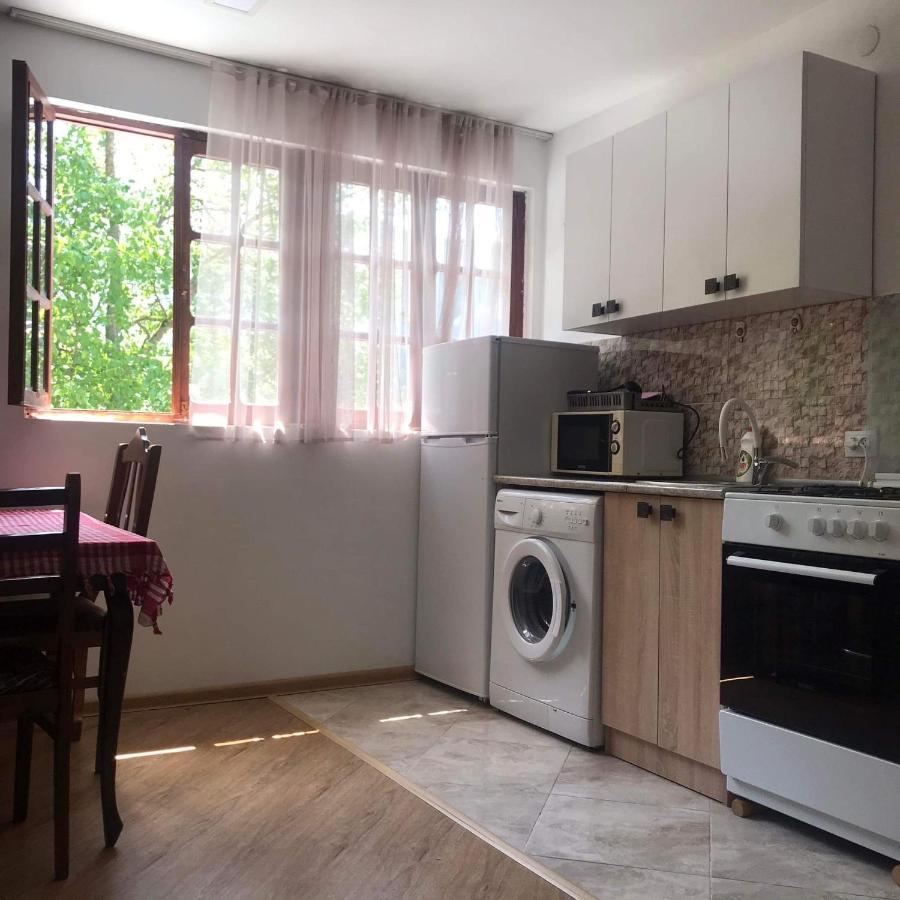Zviad Guest House Боржоми Екстериор снимка