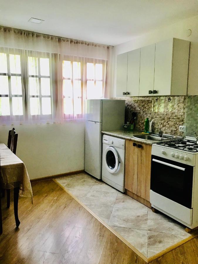 Zviad Guest House Боржоми Екстериор снимка