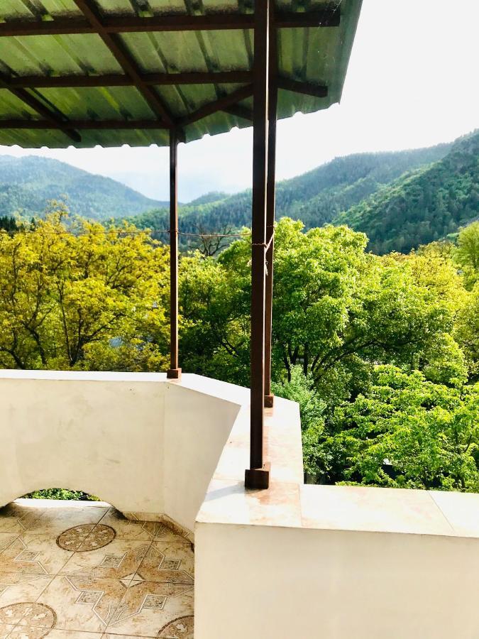 Zviad Guest House Боржоми Екстериор снимка