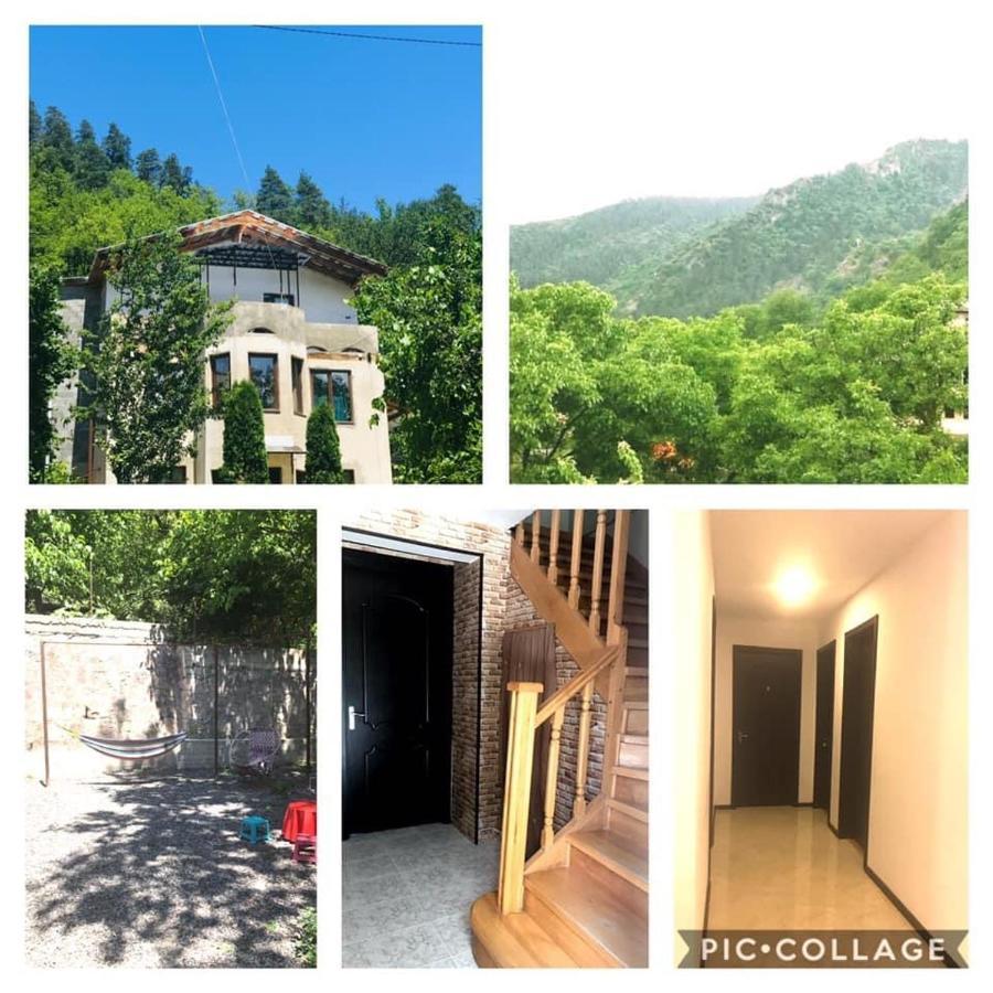 Zviad Guest House Боржоми Екстериор снимка