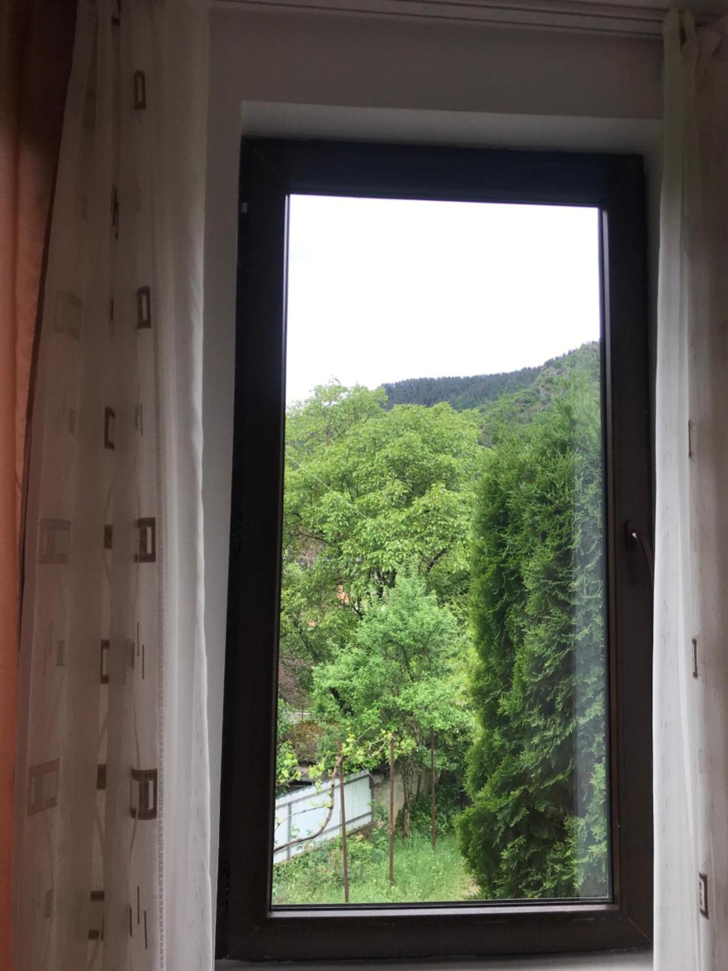 Zviad Guest House Боржоми Екстериор снимка