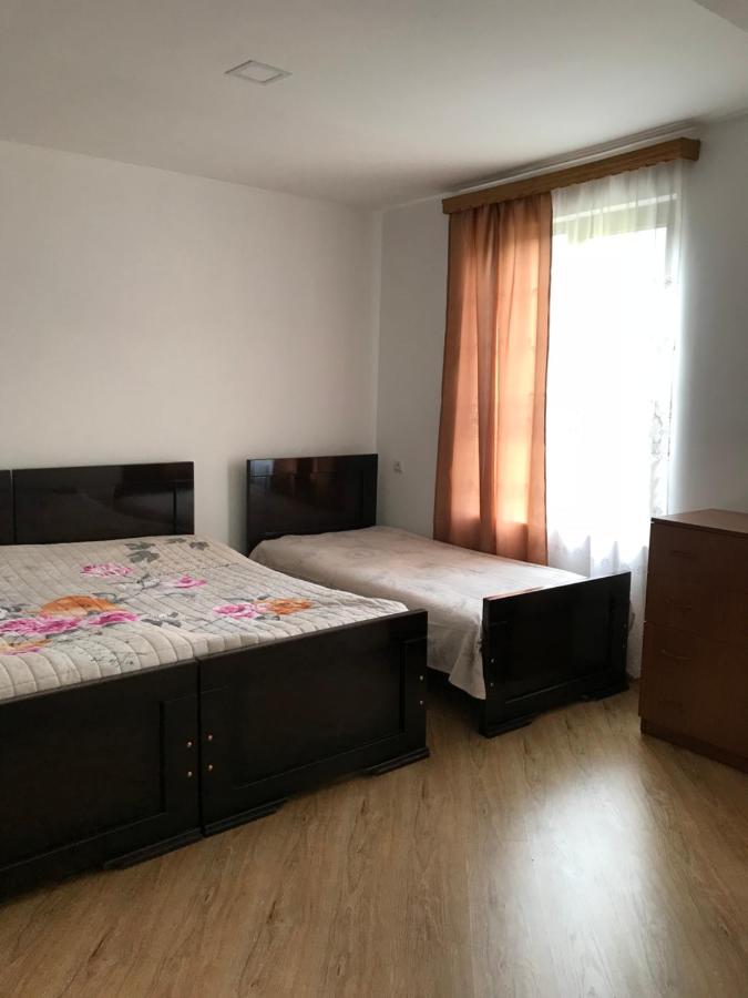 Zviad Guest House Боржоми Екстериор снимка