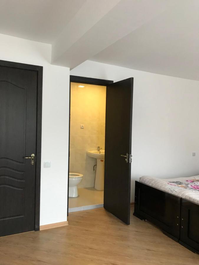 Zviad Guest House Боржоми Екстериор снимка